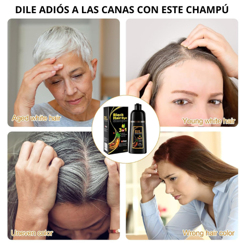 Champú Tinte Cubre Canas + ENVIO GRATIS TODO CHILE