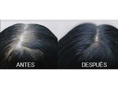 Champú Tinte Cubre Canas Suaviza Repara Cuidado Del Cabello