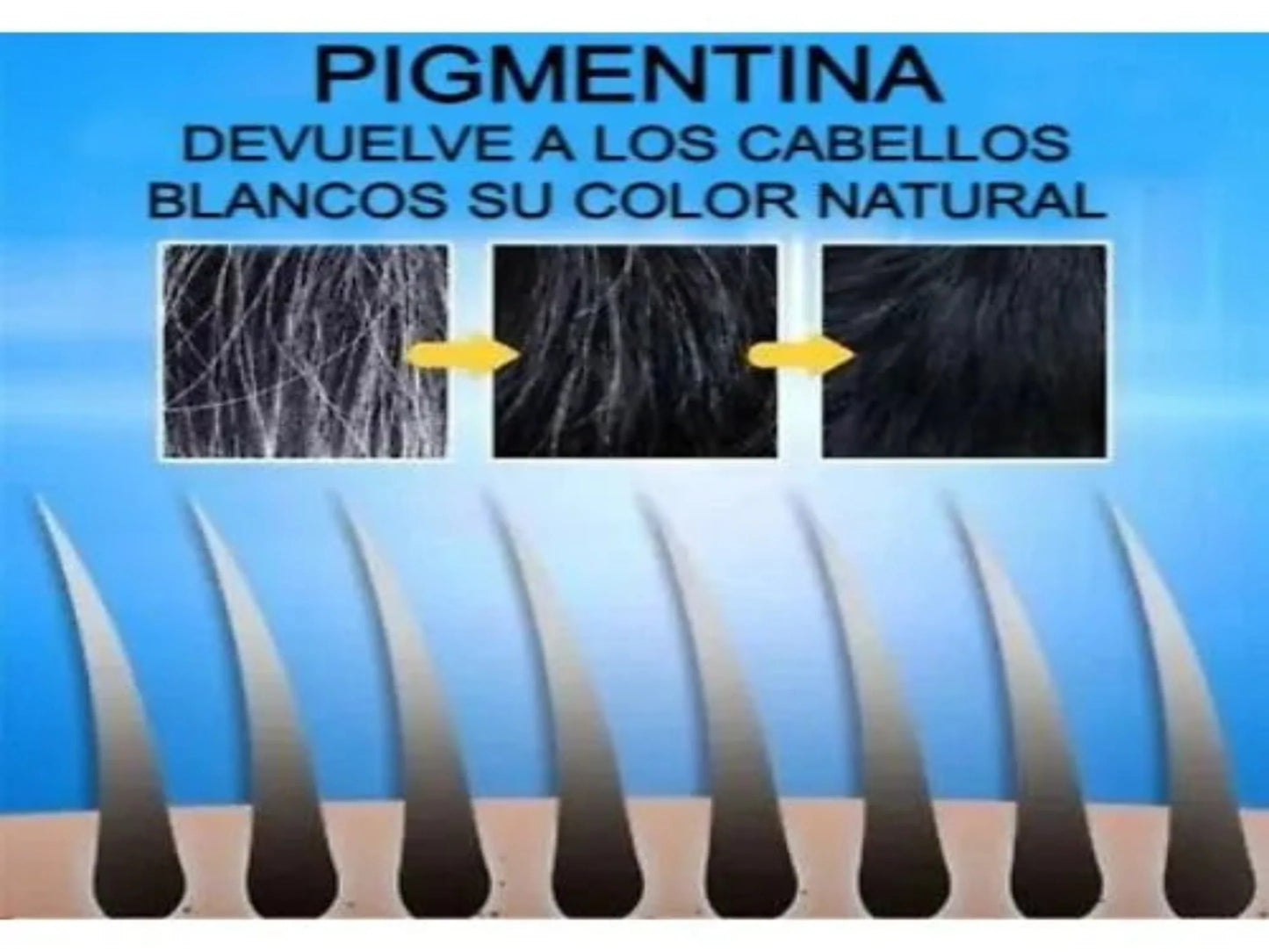 Champú Tinte Cubre Canas Suaviza Repara Cuidado Del Cabello